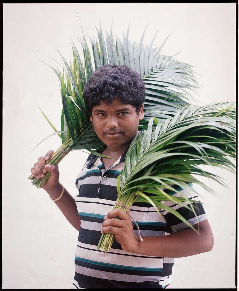 The Flower Men of Mullick Ghat