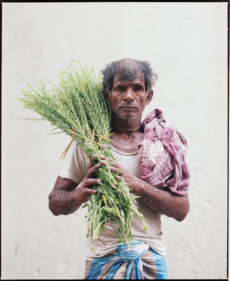 The Flower Men of Mullick Ghat — photograph 6