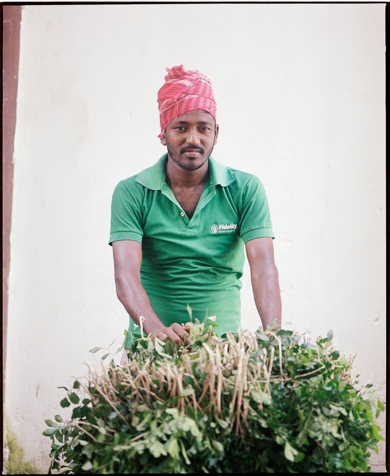 The Flower Men of Mullick Ghat — photograph 34