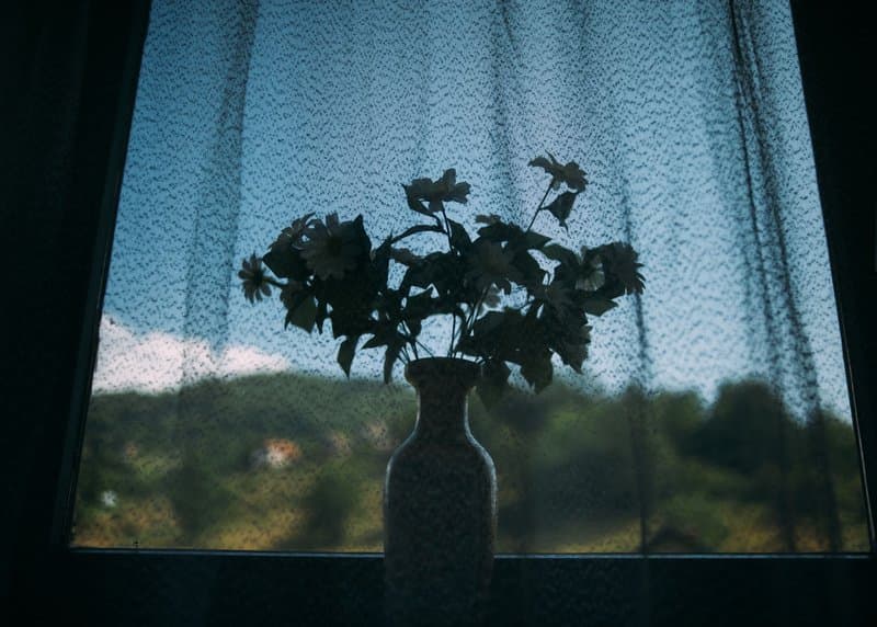 I Am Sarajevan — photograph 15
