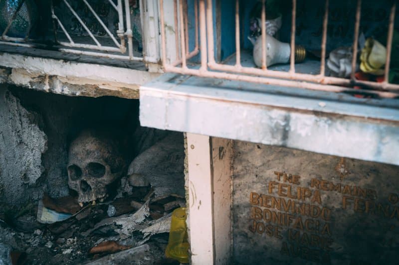 Living With The Dead — photograph 5