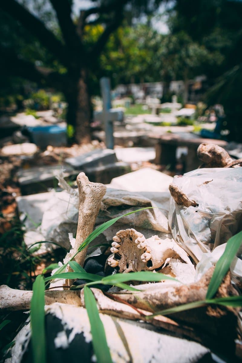 Living With The Dead — photograph 9