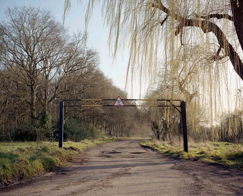 Under The Elms — photograph 2