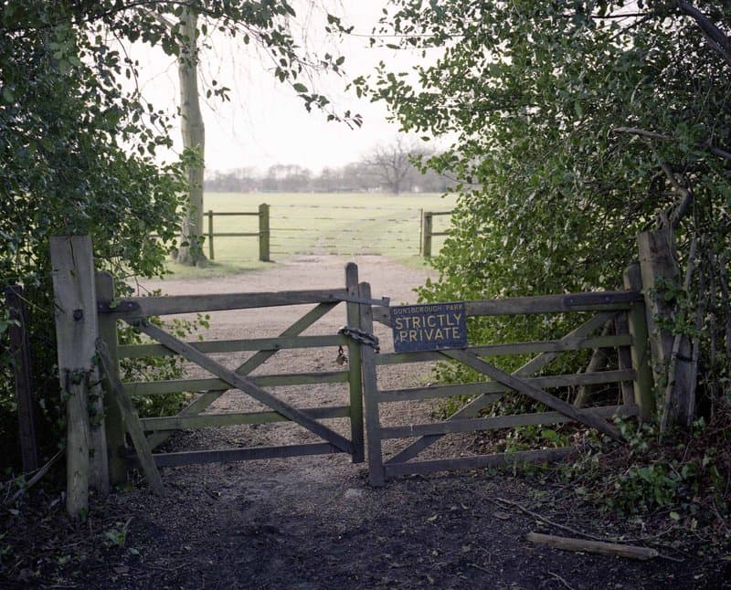 Under The Elms — photograph 3