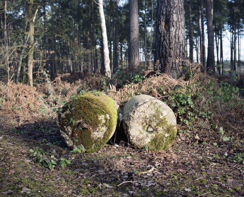 Under The Elms — photograph 5
