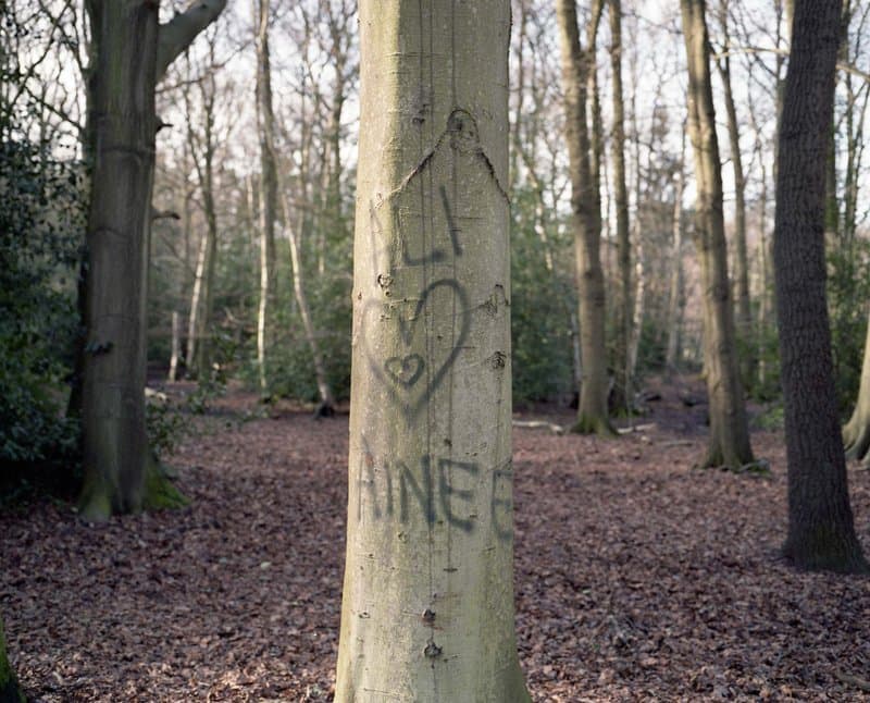 Under The Elms — photograph 6