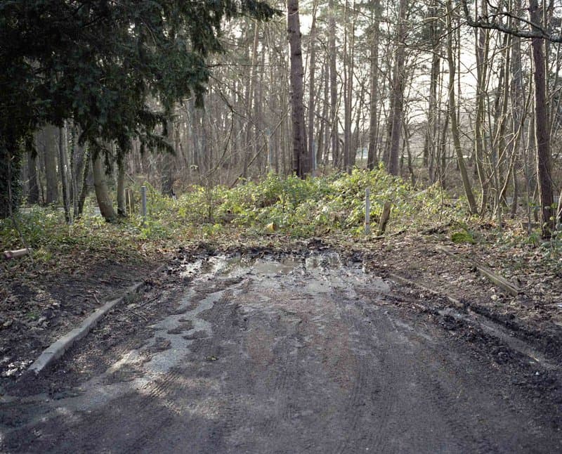 Under The Elms — photograph 8