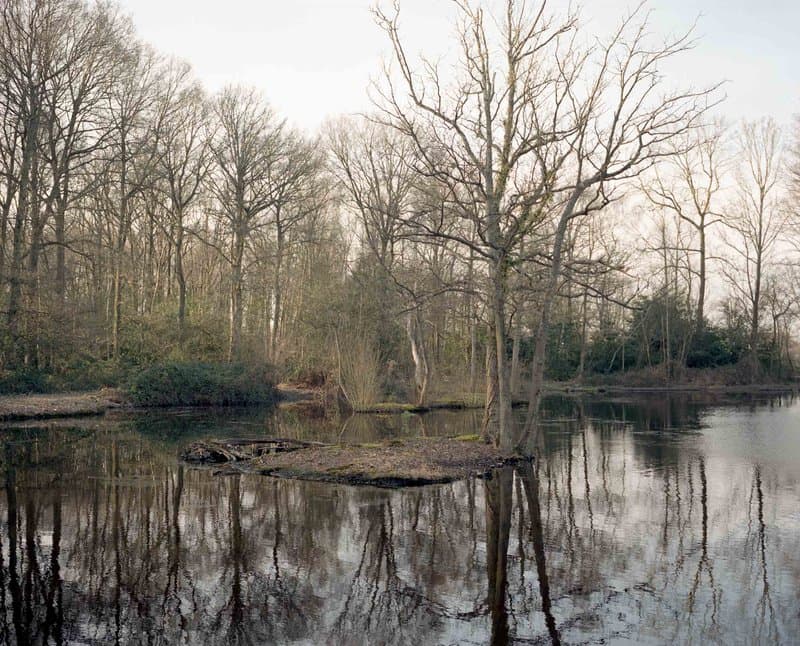 Under The Elms — photograph 11